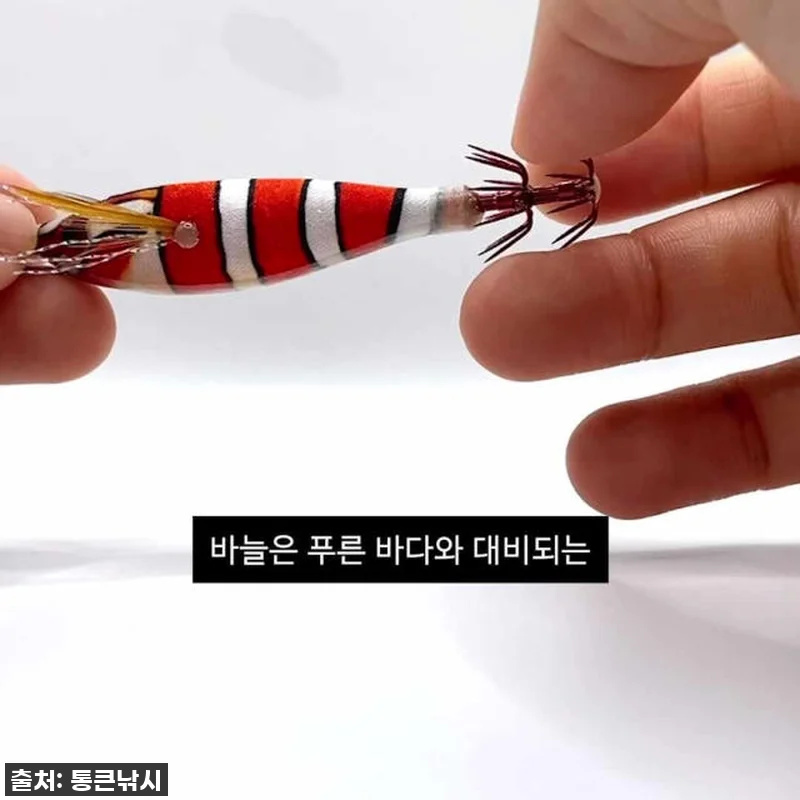 갑오징어 낚시 이거 모르면 손해! 혼 관련 이미지 2