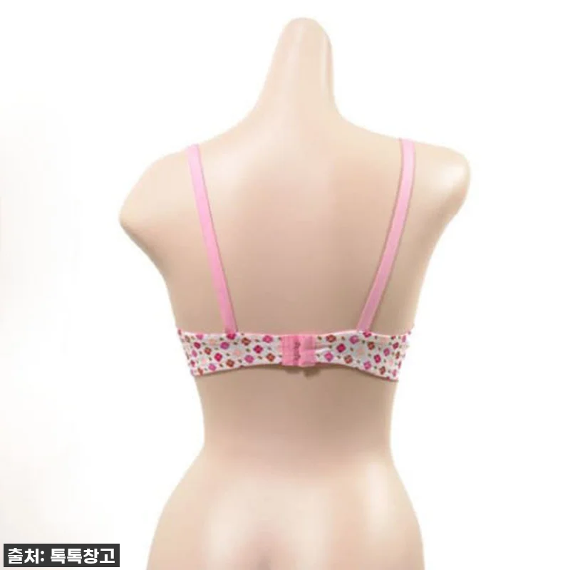 이 가격 실화?! 주니어 왕뽕 브라 관련 이미지 2