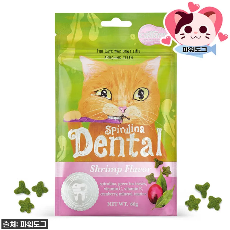 우리 냥이 구강 건강 지킴이! 캣템 관련 이미지 2