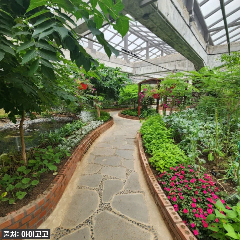 서울숲 나비정원 체험학습, 이게 진짜 관련 이미지 2