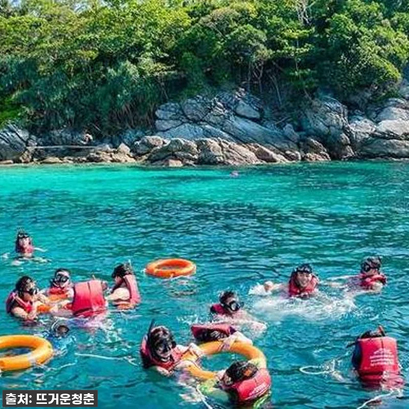 이거 실화?! 푸켓 산호섬 & 라차섬 관련 이미지 3