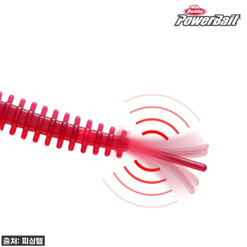 버클리 타치 샌드사딘 샌드웜, 이 가 관련 이미지 4