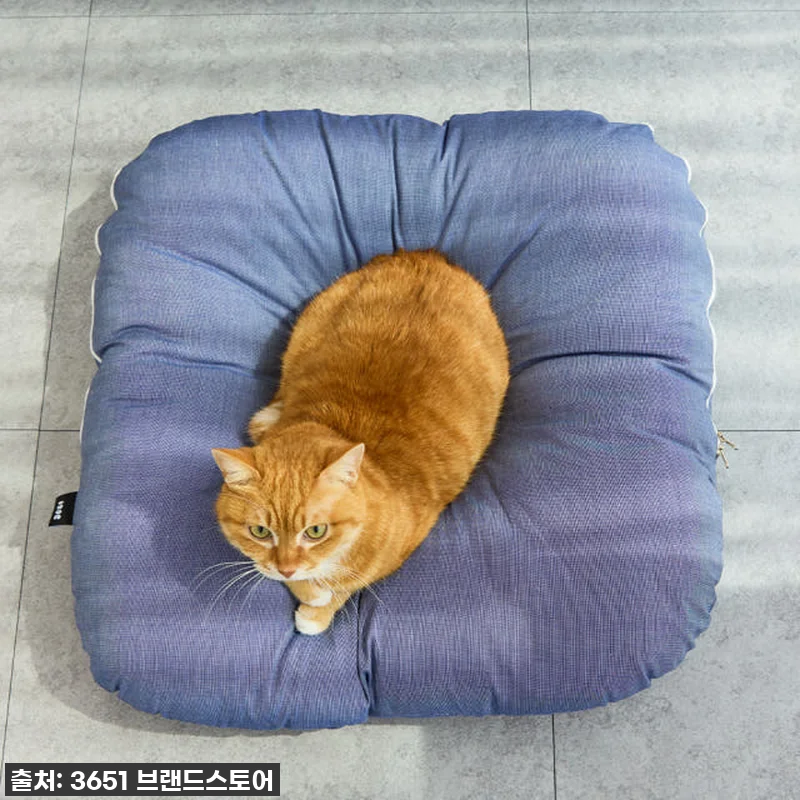 3651 멜티쿠션 고양이 방석 해먹 관련 이미지 4