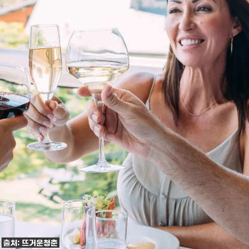 ⭐역대급 할인⭐ 호주 퀸즈랜드 시로멧 관련 이미지 4