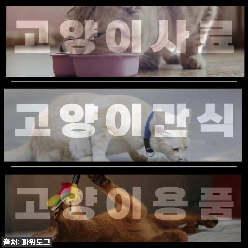 품절주의! 우리 집 냥이부터 길냥이까 관련 이미지 4