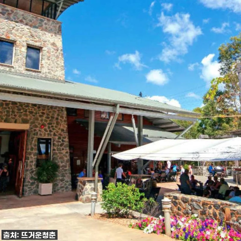 ⭐역대급 할인⭐ 호주 퀸즈랜드 시로멧 관련 이미지 5