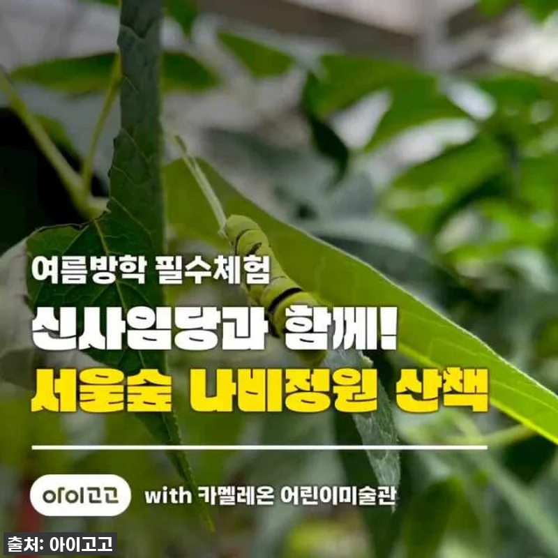 서울숲 나비정원 체험학습, 이게 진짜 관련 이미지 5