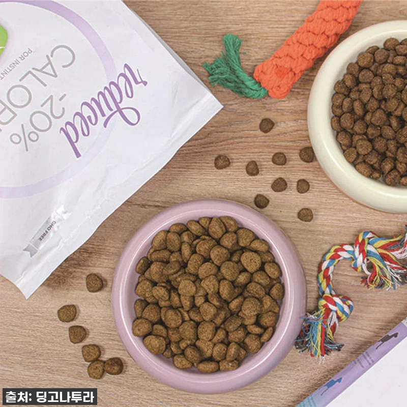 이슈템! 댕댕이 다이어트 사료, 나투 관련 이미지 6