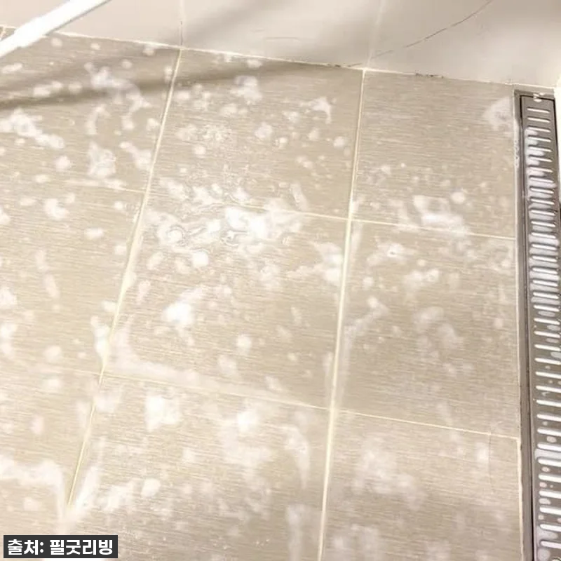 찐후기: 화장실 물기 제거, 이제 힘 관련 이미지 7