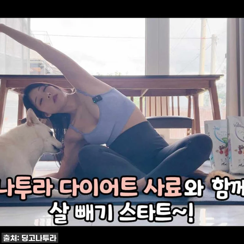 이슈템! 댕댕이 다이어트 사료, 나투 관련 이미지 7