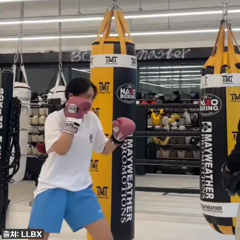 LLBX 복싱티셔츠 찐후기: 여름 운 관련 이미지 8