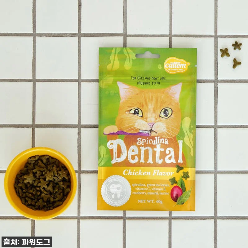 우리 냥이 구강 건강 지킴이! 캣템 관련 이미지 9
