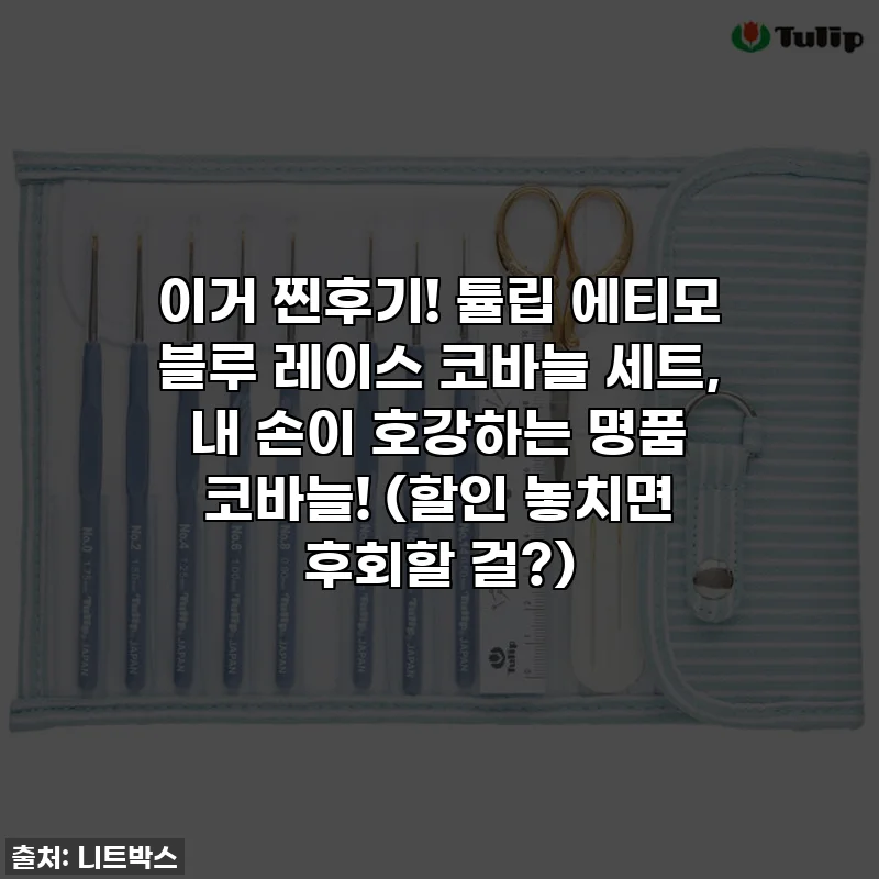 이거 찐후기! 튤립 에티모 블루 레이스 코바늘 세트, 내 손이 호강하는 명품 코바늘! (할인 놓치면 후회할 걸?)
