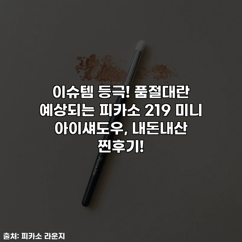 이슈템 등극! 품절대란 예상되는 피카소 219 미니 아이섀도우, 내돈내산 찐후기!