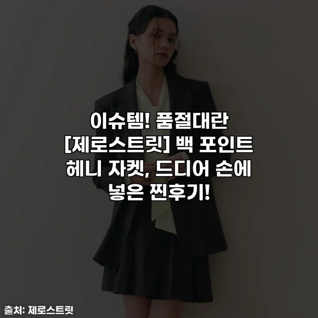 이슈템! 품절대란 [제로스트릿] 백 포인트 헤니 자켓, 드디어 손에 넣은 찐후기!