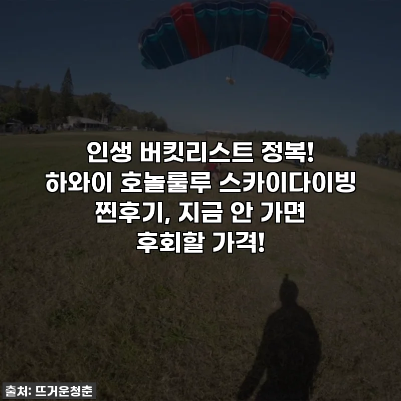 인생 버킷리스트 정복! 하와이 호놀룰루 스카이다이빙 찐후기, 지금 안 가면 후회할 가격!