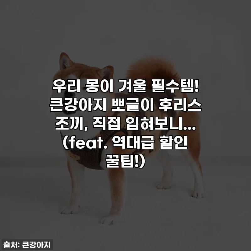 우리 몽이 겨울 필수템! 큰강아지 뽀글이 후리스 조끼, 직접 입혀보니... (feat. 역대급 할인 꿀팁!)