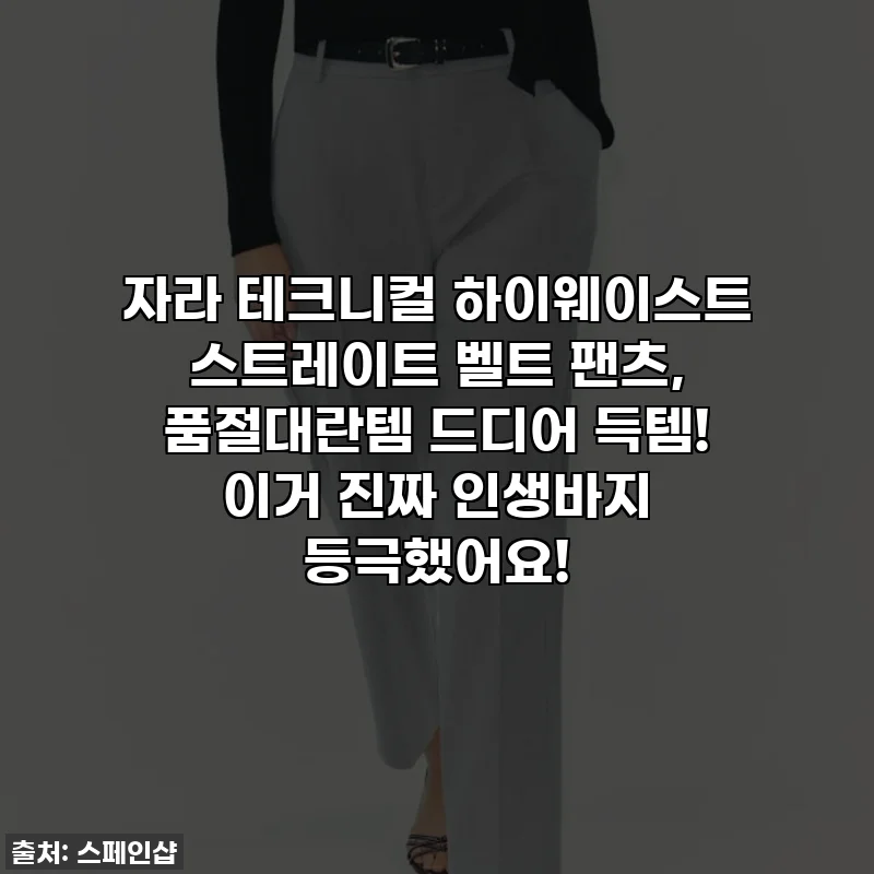 자라 테크니컬 하이웨이스트 스트레이트 벨트 팬츠, 품절대란템 드디어 득템! 이거 진짜 인생바지 등극했어요!
