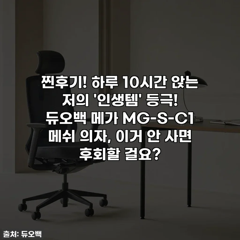 찐후기! 하루 10시간 앉는 저의 '인생템' 등극! 듀오백 메가 MG-S-C1 메쉬 의자, 이거 안 사면 후회할 걸요?
