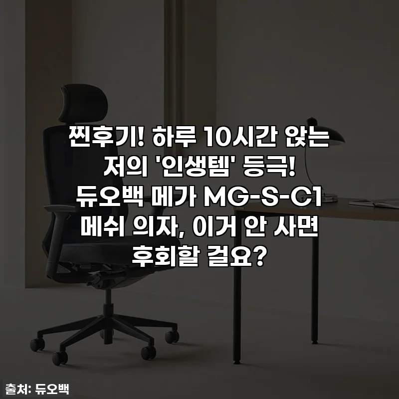 찐후기! 하루 10시간 앉는 저의 '인생템' 등극! 듀오백 메가 MG-S-C1 메쉬 의자, 이거 안 사면 후회할 걸요?