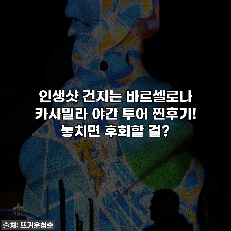 인생샷 건지는 바르셀로나 카사밀라 야간 투어 찐후기! 놓치면 후회할 걸?