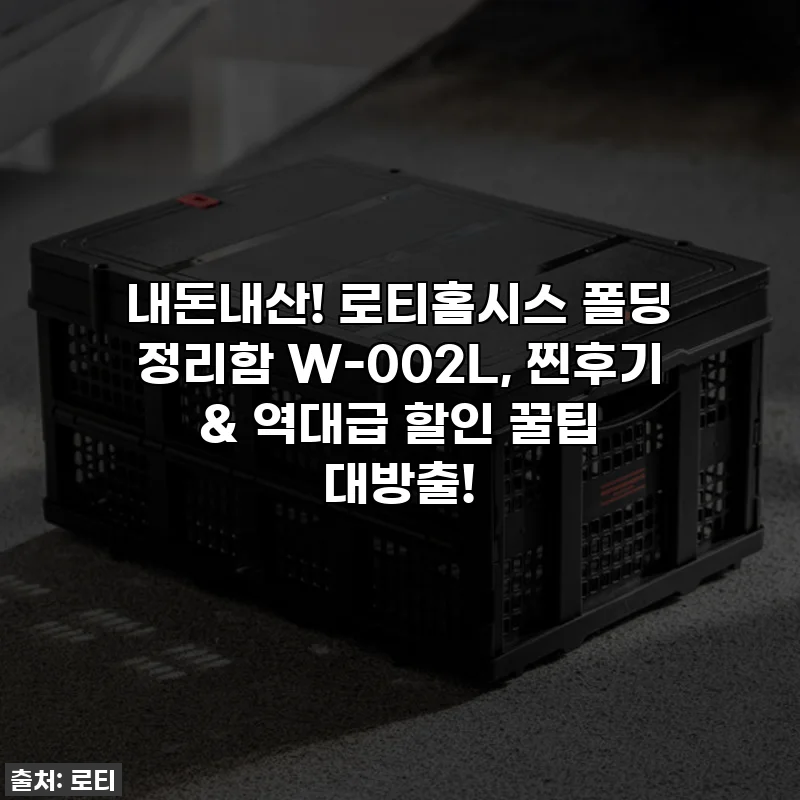 내돈내산! 로티홈시스 폴딩 정리함 W-002L, 찐후기 & 역대급 할인 꿀팁 대방출!