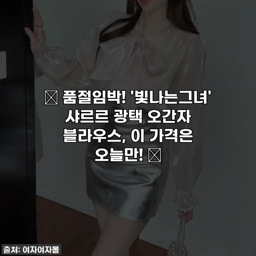 ✨ 품절임박! '빛나는그녀' 샤르르 광택 오간자 블라우스, 이 가격은 오늘만! ✨