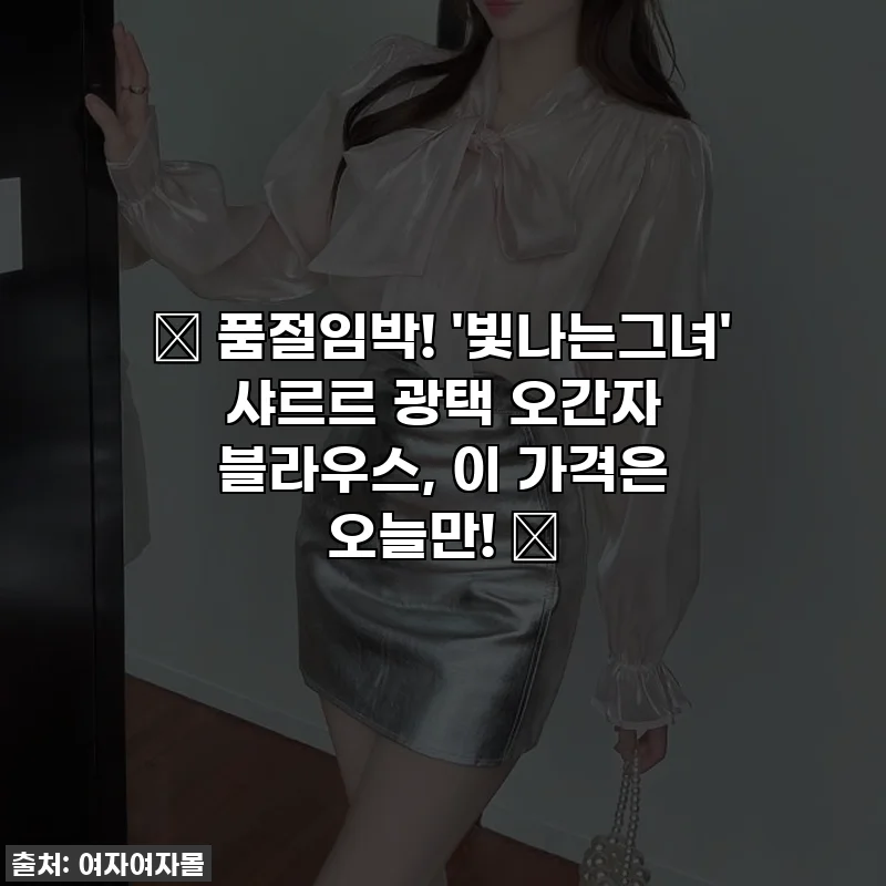 ✨ 품절임박! '빛나는그녀' 샤르르 광택 오간자 블라우스, 이 가격은 오늘만! ✨