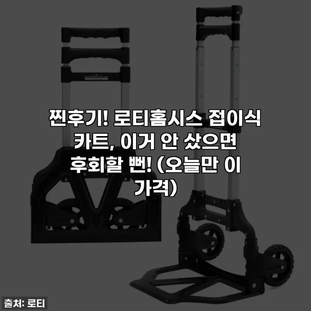 찐후기! 로티홈시스 접이식 카트, 이거 안 샀으면 후회할 뻔! (오늘만 이 가격)