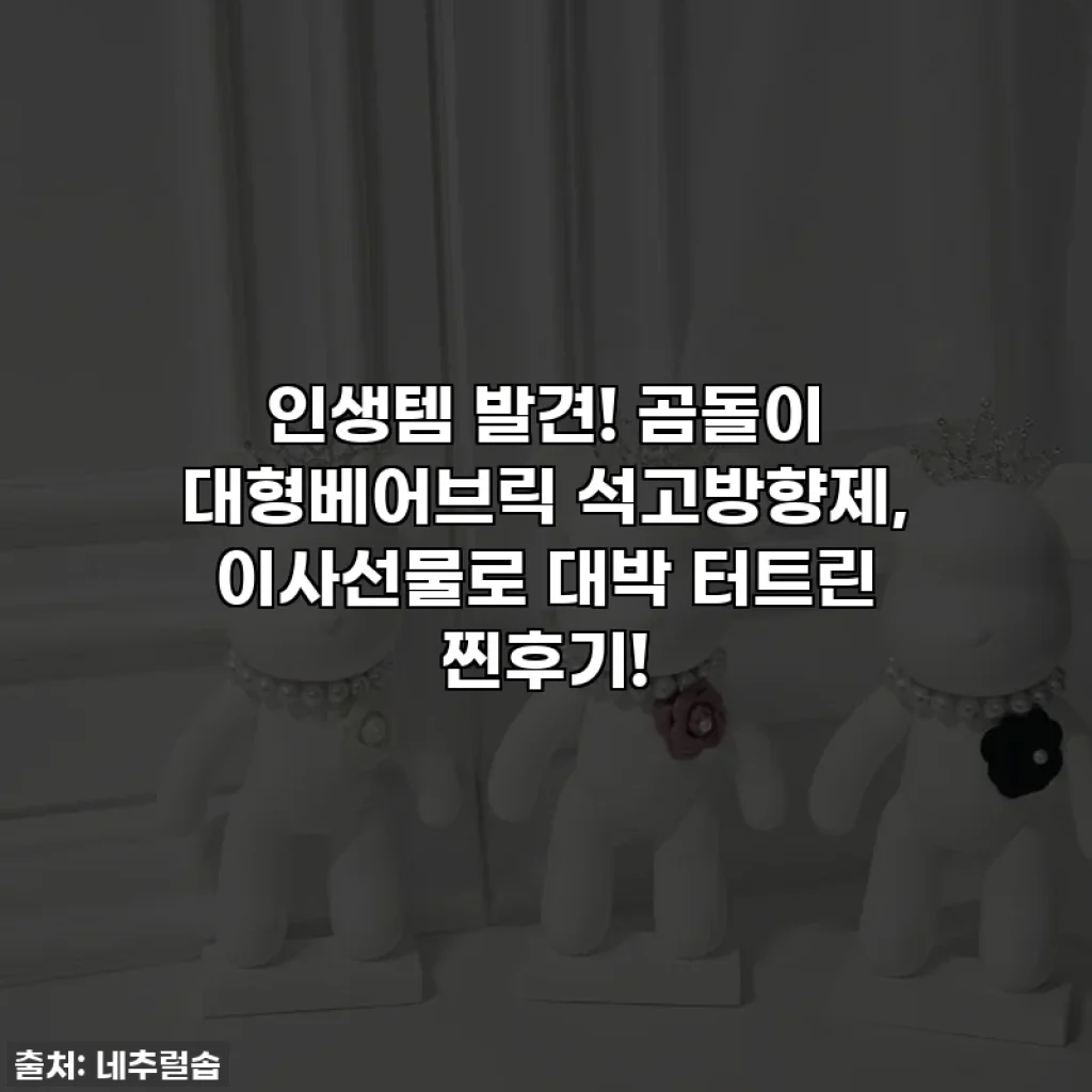 인생템 발견! 곰돌이 대형베어브릭 석고방향제, 이사선물로 대박 터트린 찐후기!