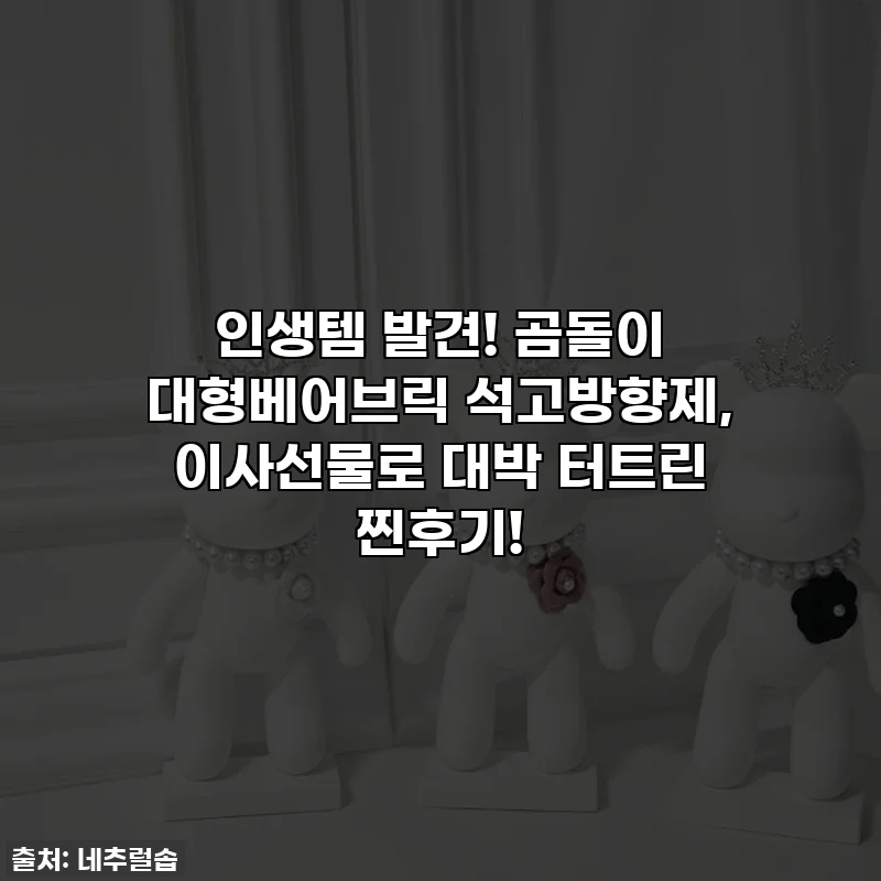 인생템 발견! 곰돌이 대형베어브릭 석고방향제, 이사선물로 대박 터트린 찐후기!