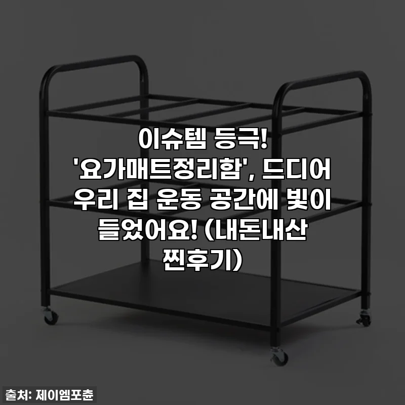이슈템 등극! '요가매트정리함', 드디어 우리 집 운동 공간에 빛이 들었어요! (내돈내산 찐후기)