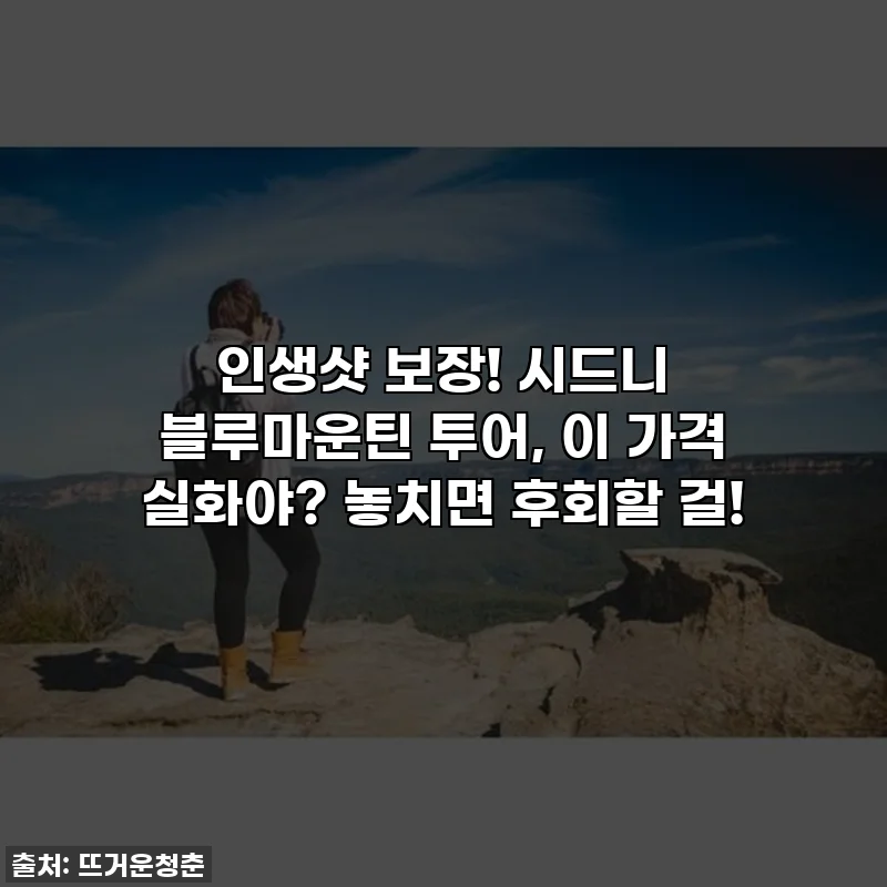 인생샷 보장! 시드니 블루마운틴 투어, 이 가격 실화야? 놓치면 후회할 걸!