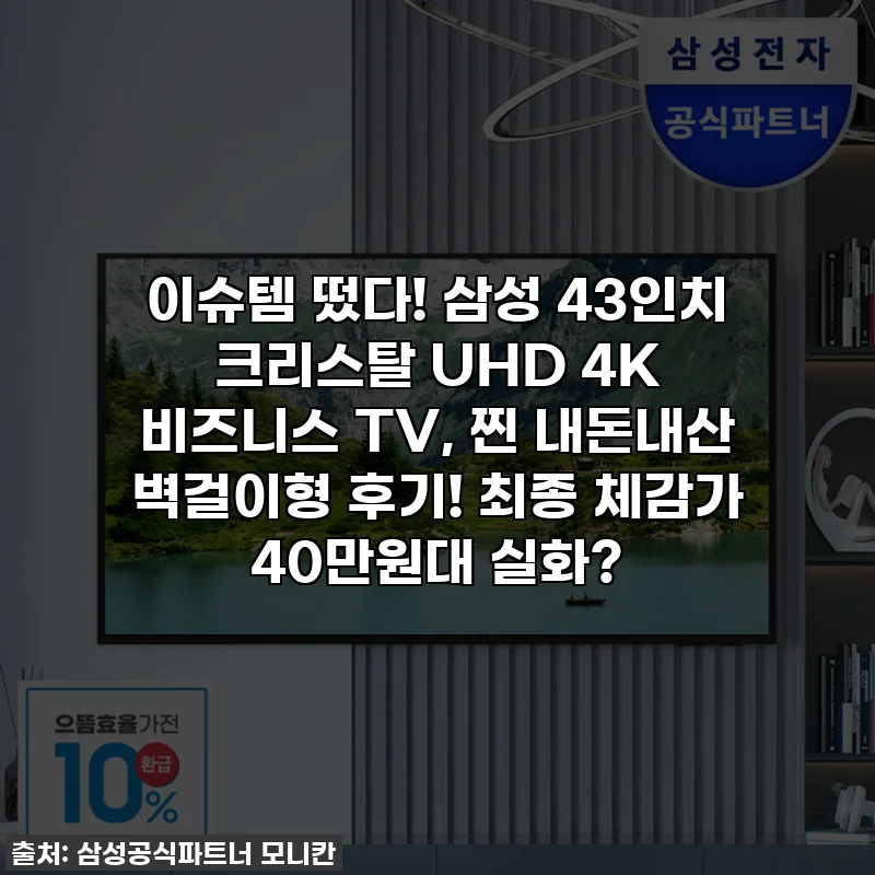 이슈템 떴다! 삼성 43인치 크리스탈 UHD 4K 비즈니스 TV, 찐 내돈내산 벽걸이형 후기! 최종 체감가 40만원대 실화?