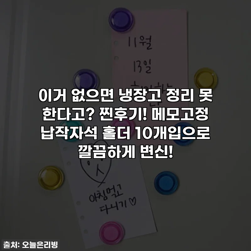이거 없으면 냉장고 정리 못 한다고? 찐후기! 메모고정 납작자석 홀더 10개입으로 깔끔하게 변신!