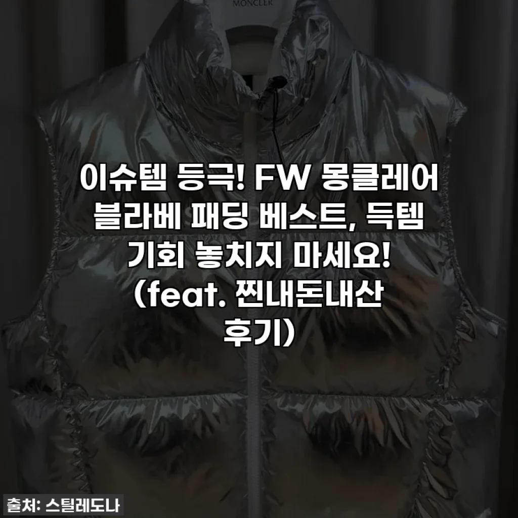 이슈템 등극! FW 몽클레어 블라베 패딩 베스트, 득템 기회 놓치지 마세요! (feat. 찐내돈내산 후기)
