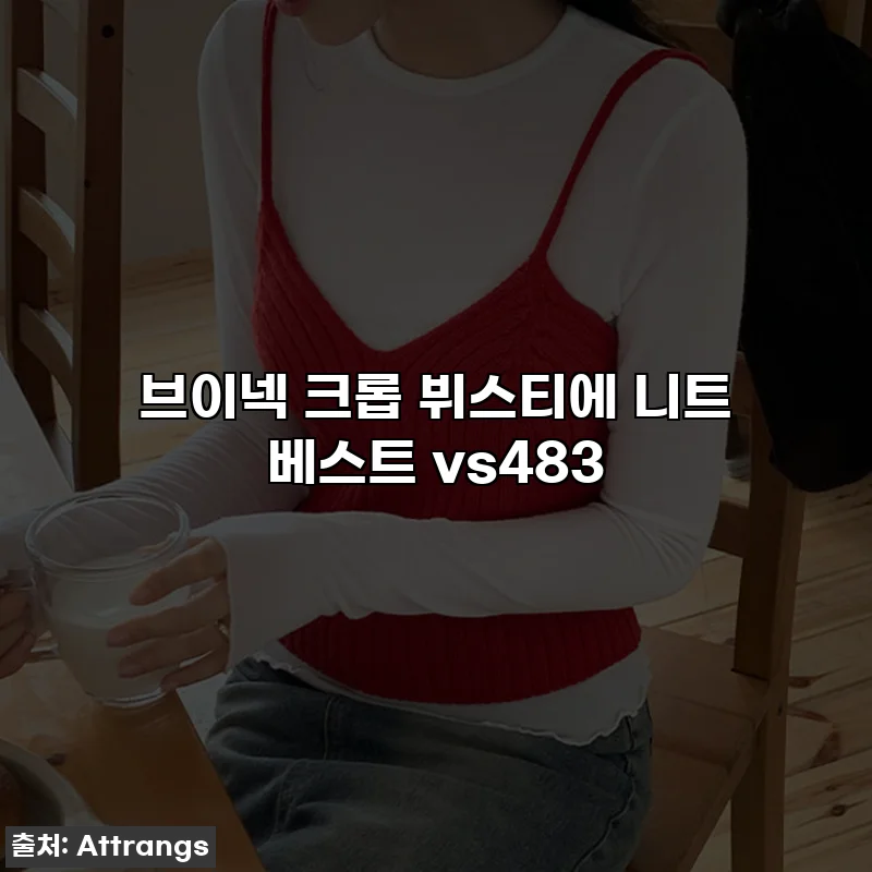 브이넥 크롭 뷔스티에 니트 베스트 vs483