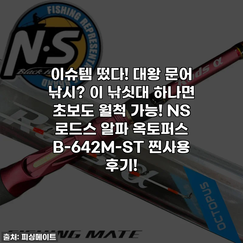 이슈템 떴다! 대왕 문어 낚시? 이 낚싯대 하나면 초보도 월척 가능! NS 로드스 알파 옥토퍼스 B-642M-ST 찐사용 후기!