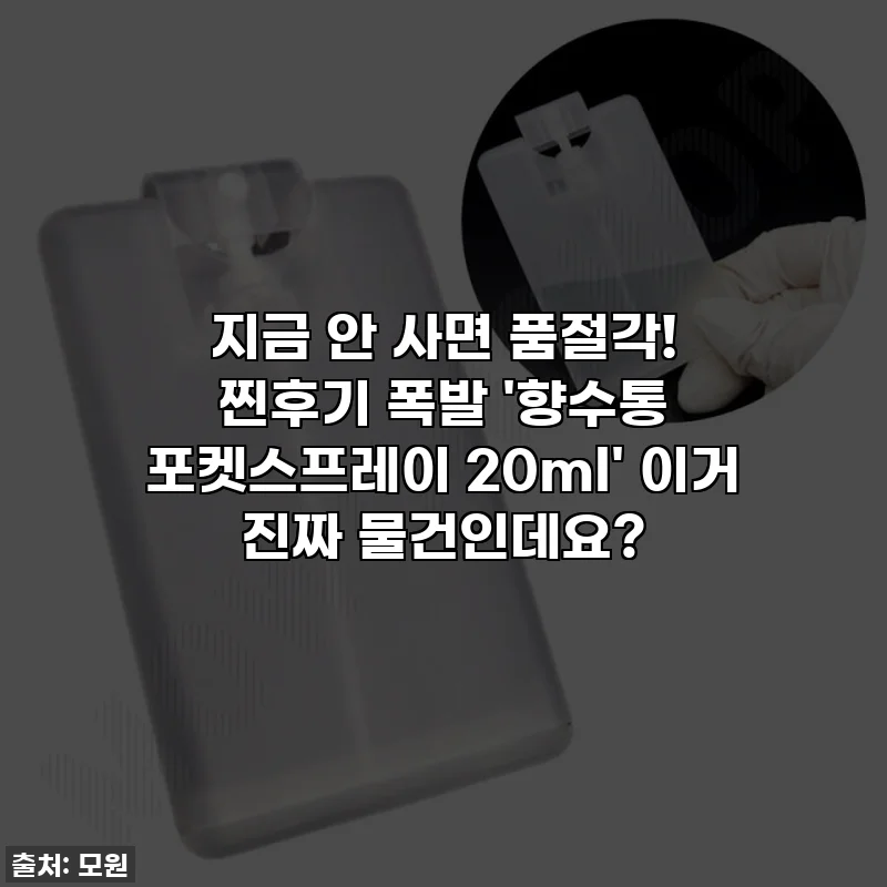 지금 안 사면 품절각! 찐후기 폭발 '향수통 포켓스프레이 20ml' 이거 진짜 물건인데요?