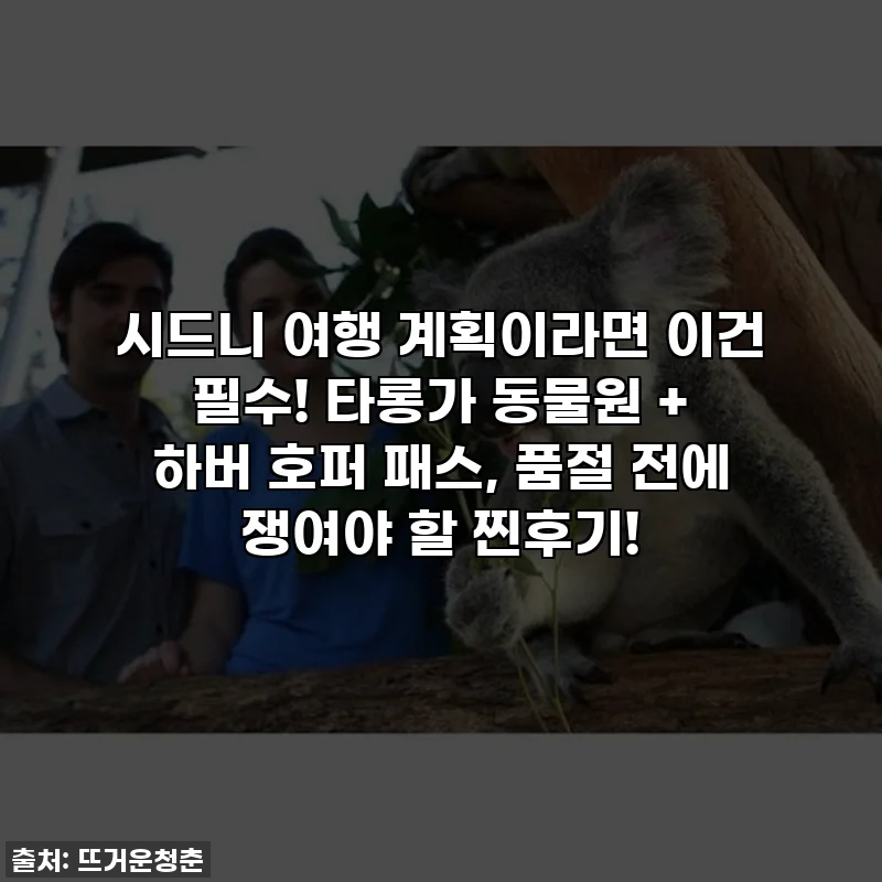 시드니 여행 계획이라면 이건 필수! 타롱가 동물원 + 하버 호퍼 패스, 품절 전에 쟁여야 할 찐후기!