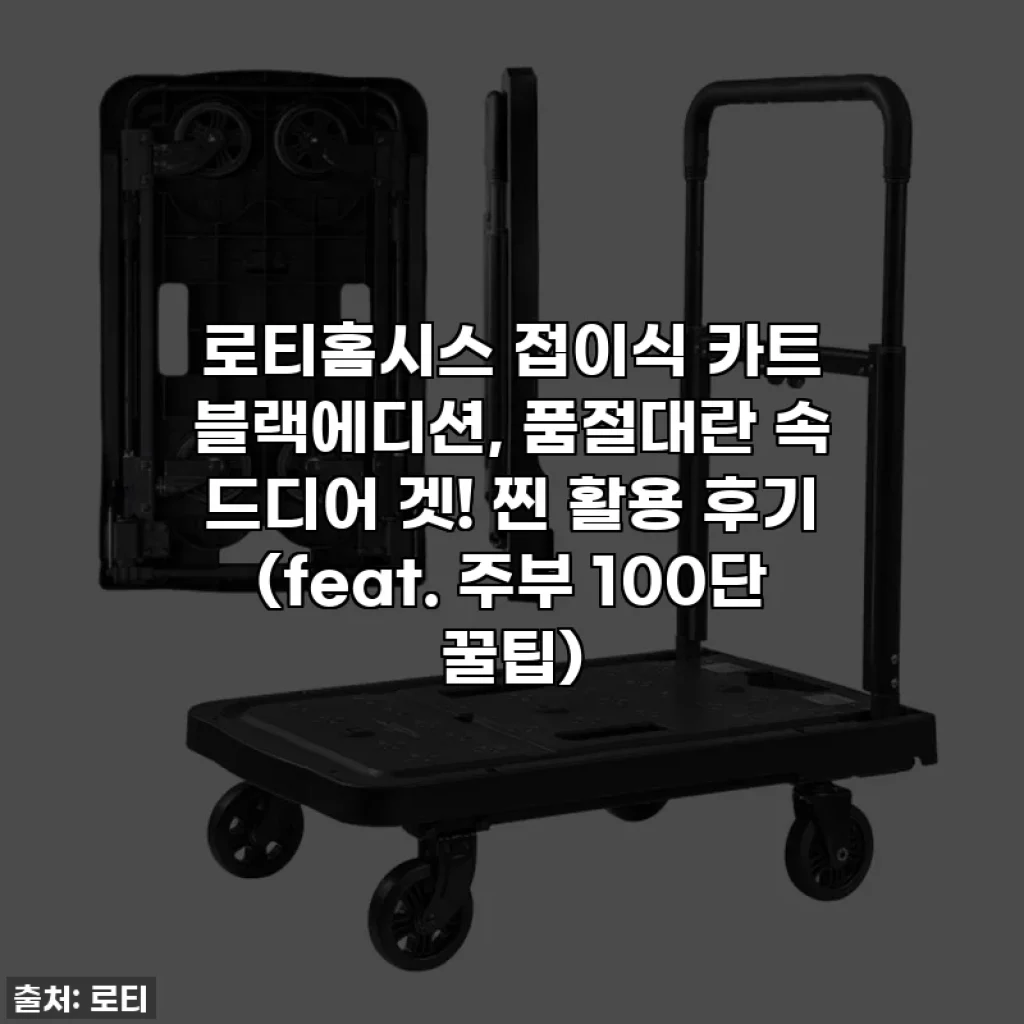 로티홈시스 접이식 카트 블랙에디션, 품절대란 속 드디어 겟! 찐 활용 후기 (feat. 주부 100단 꿀팁)