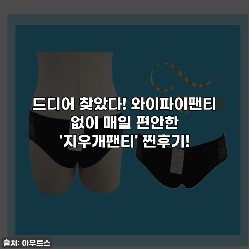 드디어 찾았다! 와이파이팬티 없이 매일 편안한 '지우개팬티' 찐후기!