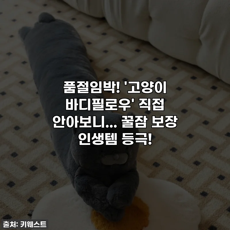 품절임박! '고양이 바디필로우' 직접 안아보니... 꿀잠 보장 인생템 등극!