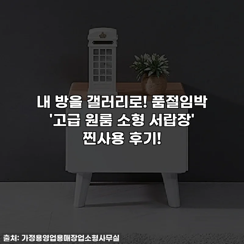 내 방을 갤러리로! 품절임박 '고급 원룸 소형 서랍장' 찐사용 후기!