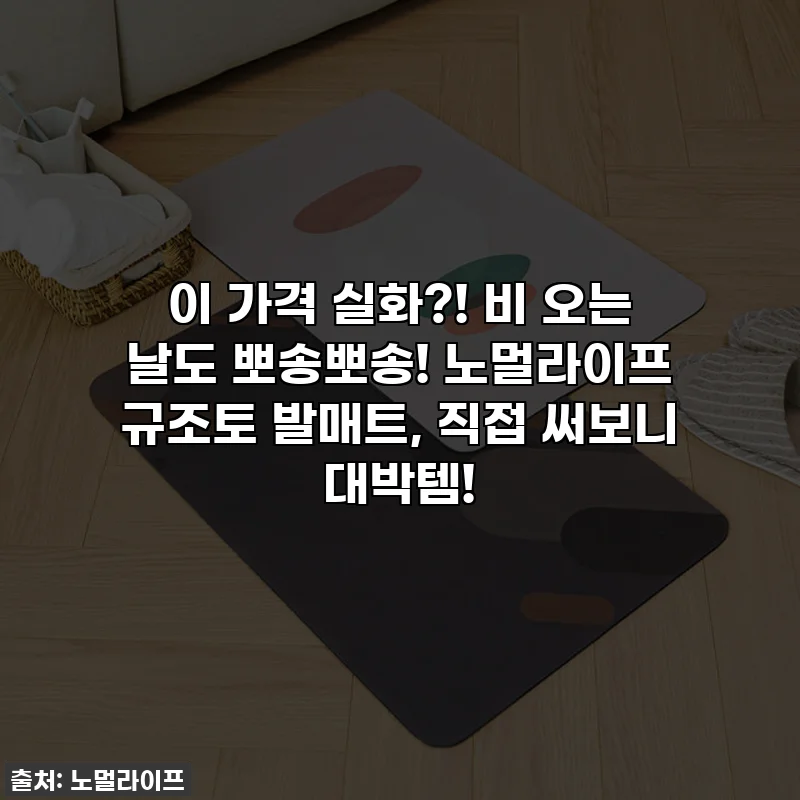 이 가격 실화?! 비 오는 날도 뽀송뽀송! 노멀라이프 규조토 발매트, 직접 써보니 대박템!
