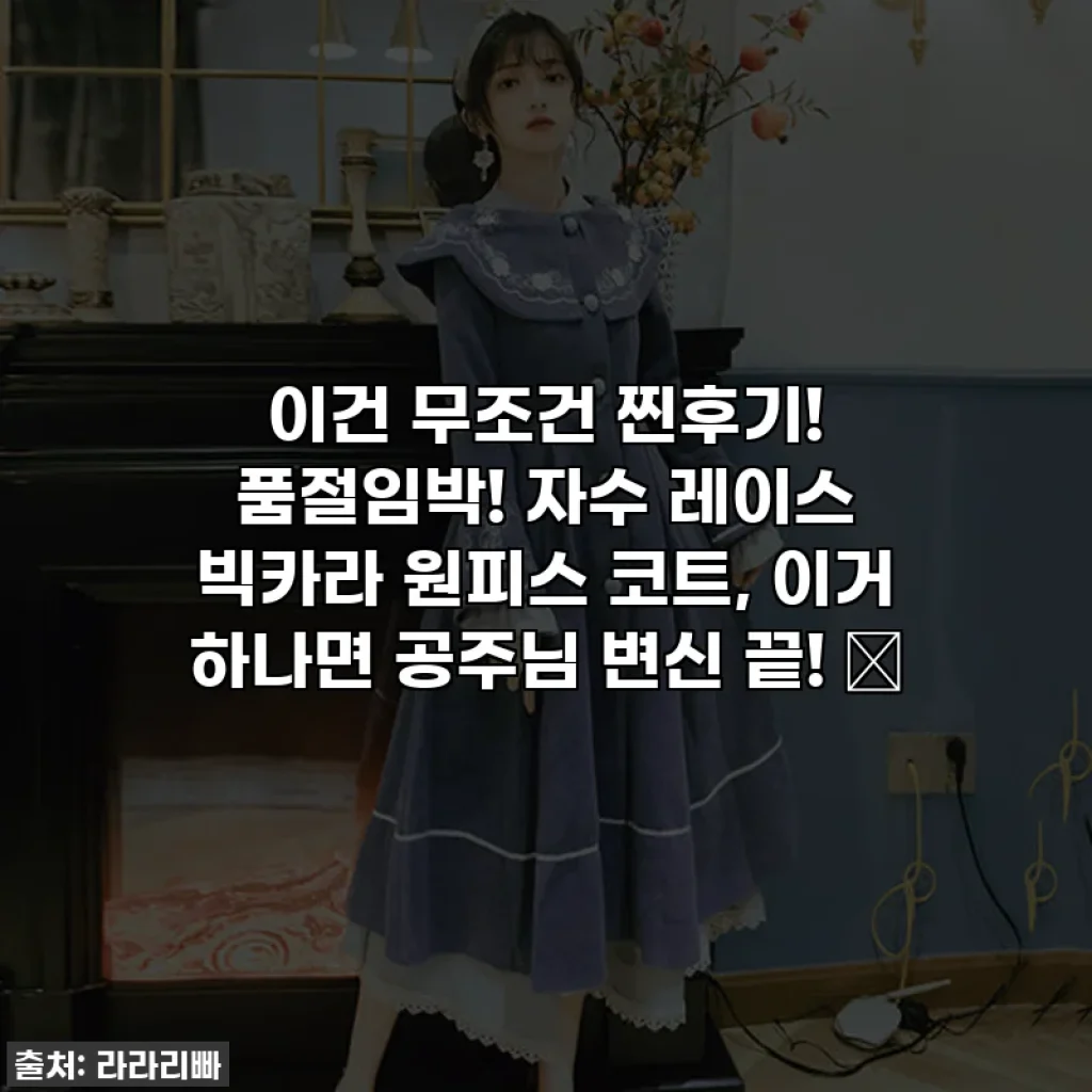 이건 무조건 찐후기! 품절임박! 자수 레이스 빅카라 원피스 코트, 이거 하나면 공주님 변신 끝! 👑