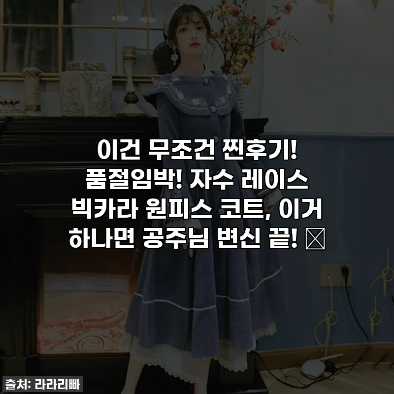 이건 무조건 찐후기! 품절임박! 자수 레이스 빅카라 원피스 코트, 이거 하나면 공주님 변신 끝! 👑