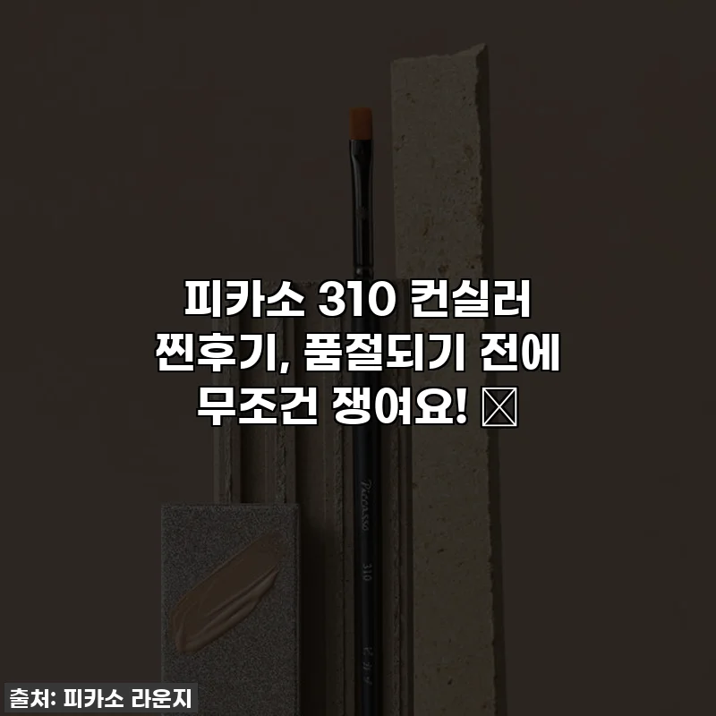피카소 310 컨실러 찐후기, 품절되기 전에 무조건 쟁여요! ✨