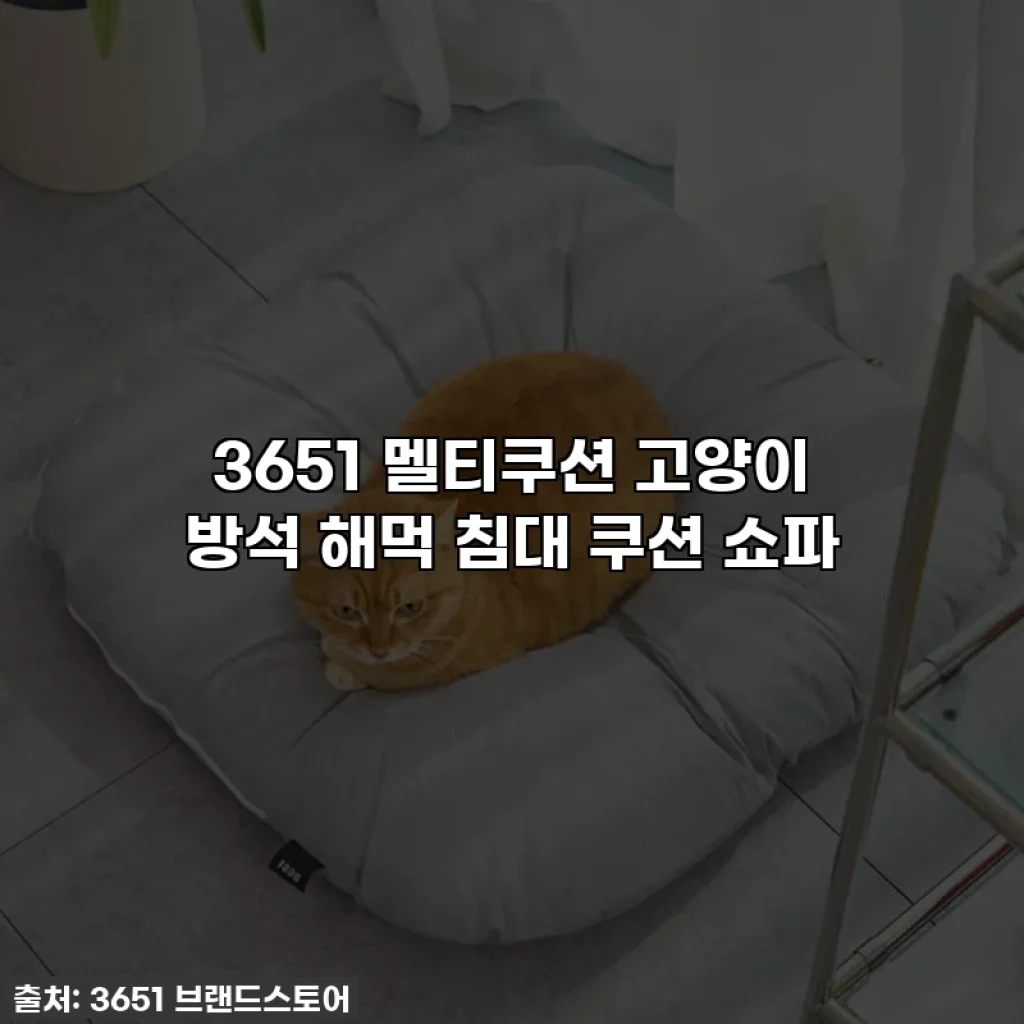3651 멜티쿠션 고양이 방석 해먹 침대 쿠션 쇼파