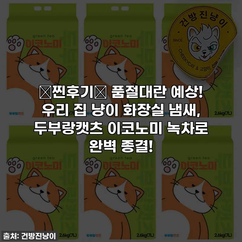 💖찐후기💖 품절대란 예상! 우리 집 냥이 화장실 냄새, 두부랑캣츠 이코노미 녹차로 완벽 종결!